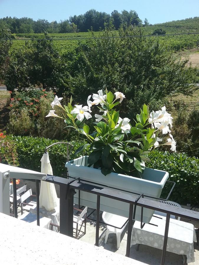 Bed and Breakfast La Terrazza Del Barbaresco Neviglie Екстер'єр фото